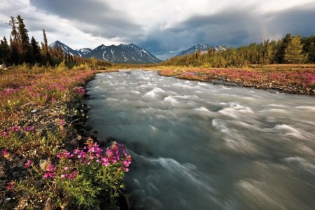 Fritz Mueller -- Quill Creek