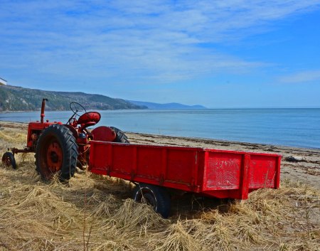 addDSC_7796_edited-1