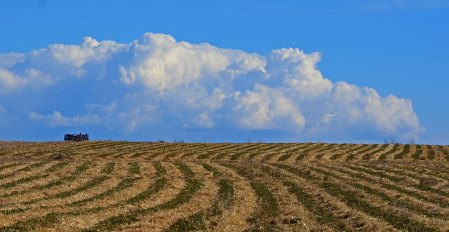 addDSC_8102_edited-1