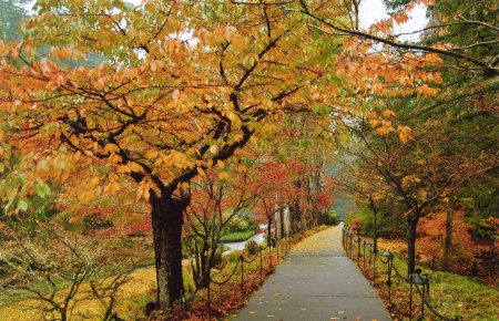 Butchart Gardens -- Walkway