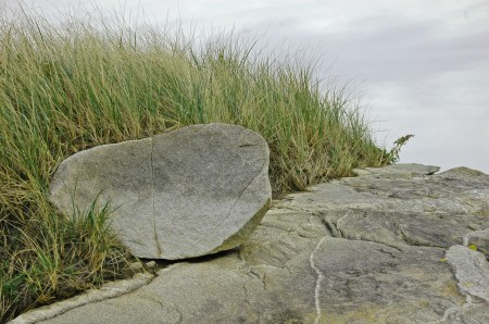 Rocks Among Tall Grass, Kejimkujik Seaside, NS