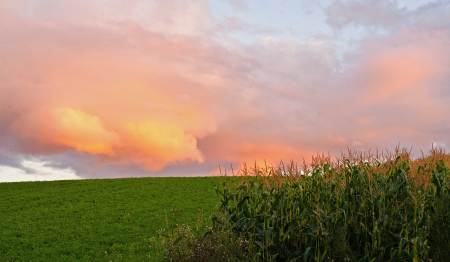 Sunset, Gaspereau Valley, Nova Scotia