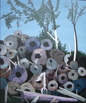 Michael Glover, Forgotten Timber, Wawa, Ontario (2007)