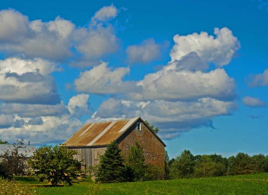 Rusted Roof Barn, Evangeline Beach, N.S.