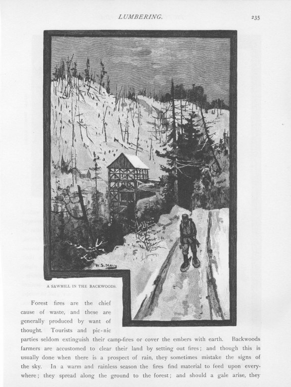 A Sawmill in the Backwoods