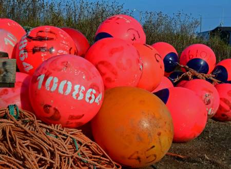 Buoys and Floats, Delaps Cove, N.S.