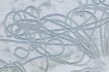 ATV Tracks in Frozen Snow