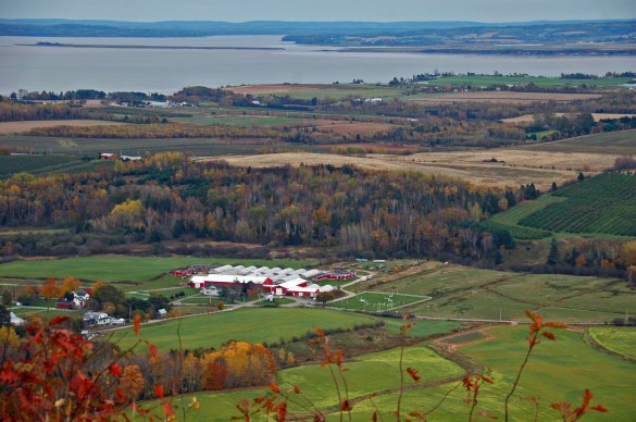 waNova-Scotia-2011465