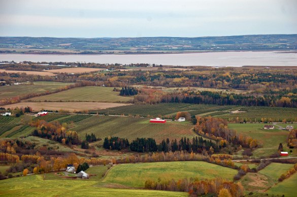 waNova-Scotia-2011466