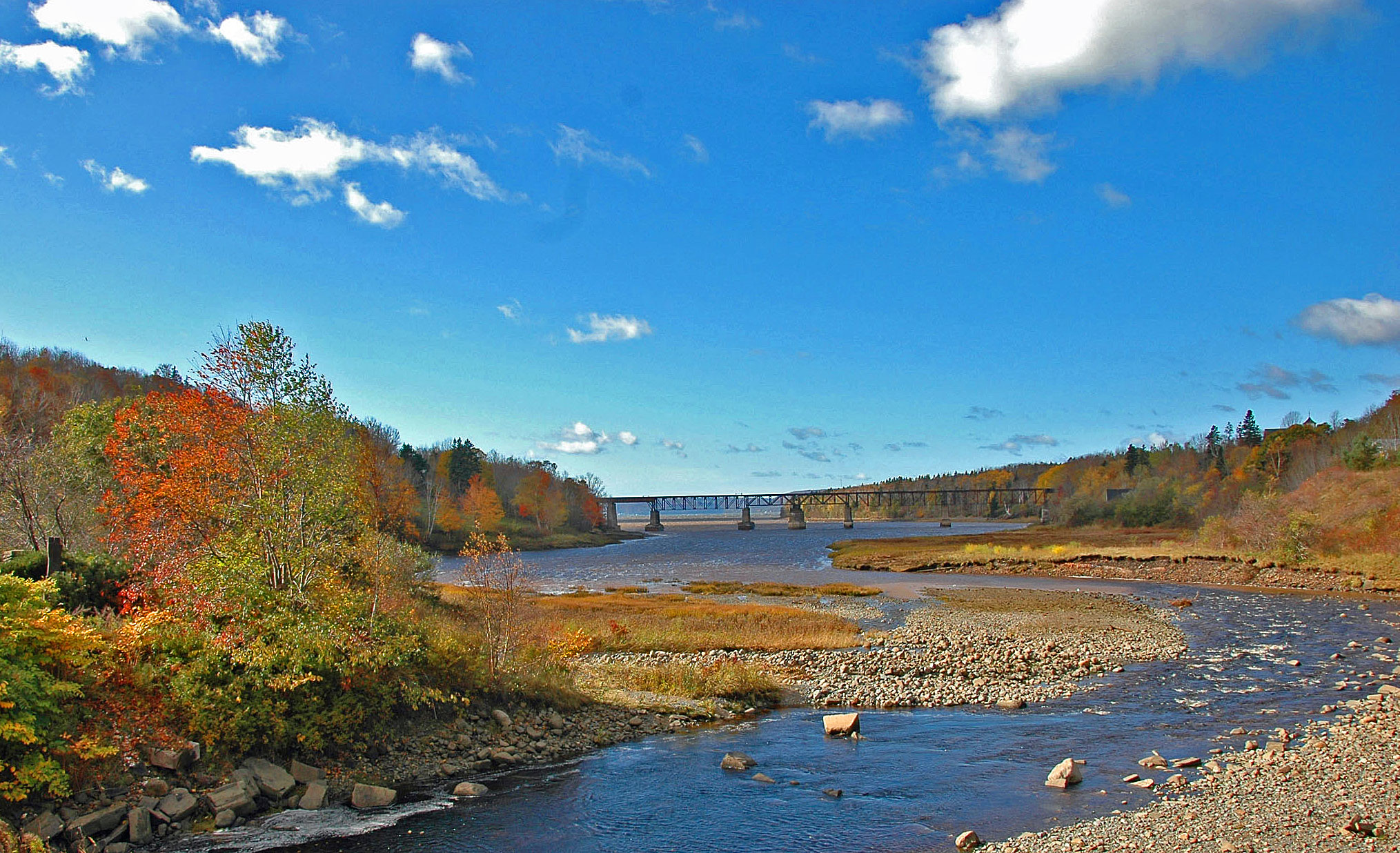 waNova-Scotia-2011293