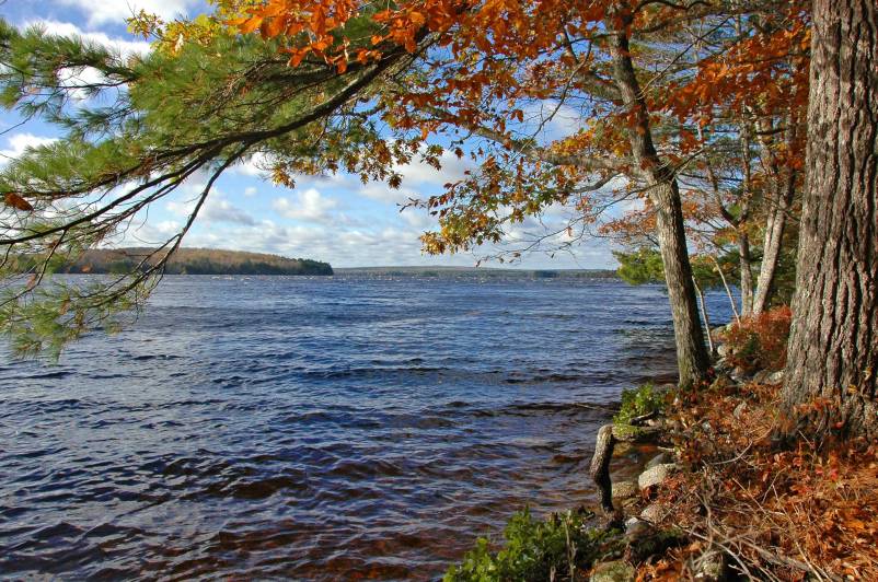 wNova-Scotia-2011248