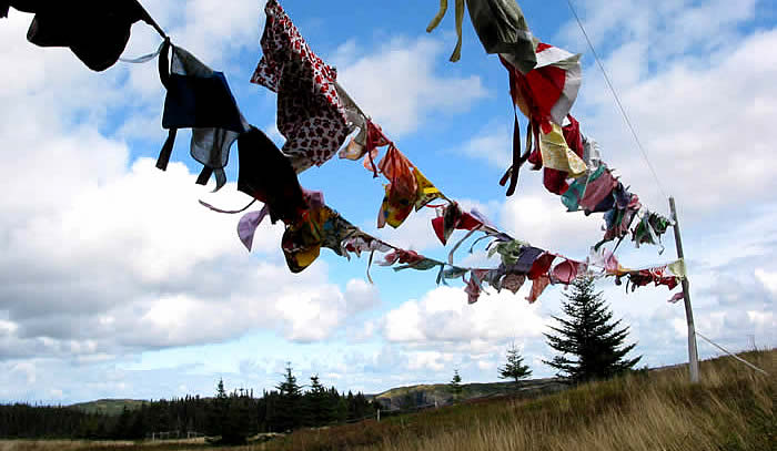 Pam Hall, Apron Diaries 1