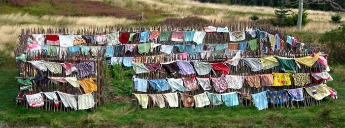 Pam Hall, Apron Diaries 5