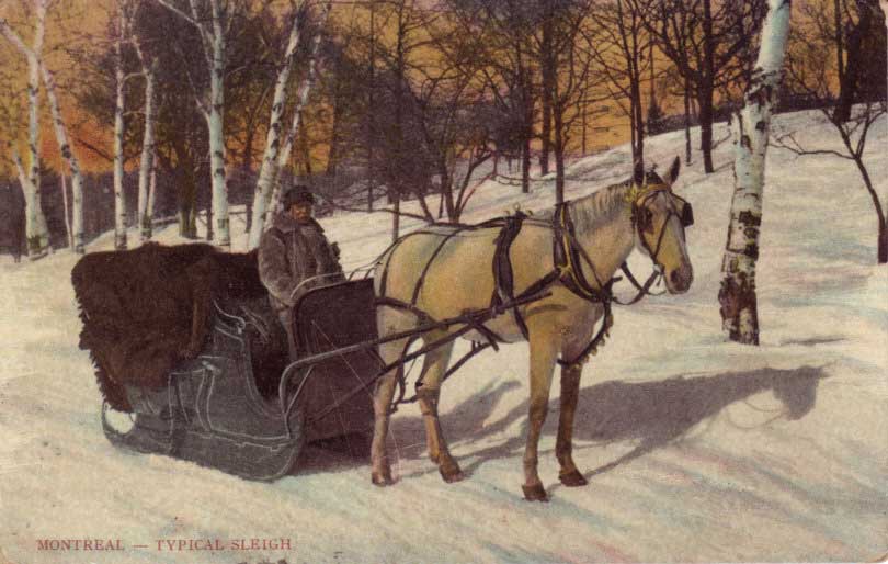 Rural----Winter-Sleigh