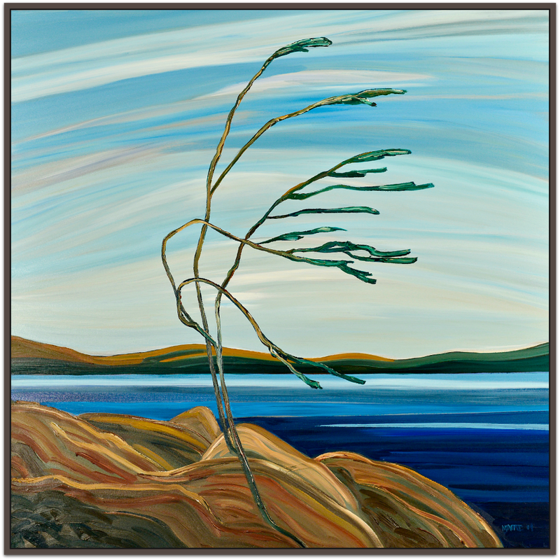 R. McAffee -- North Shore Twisty