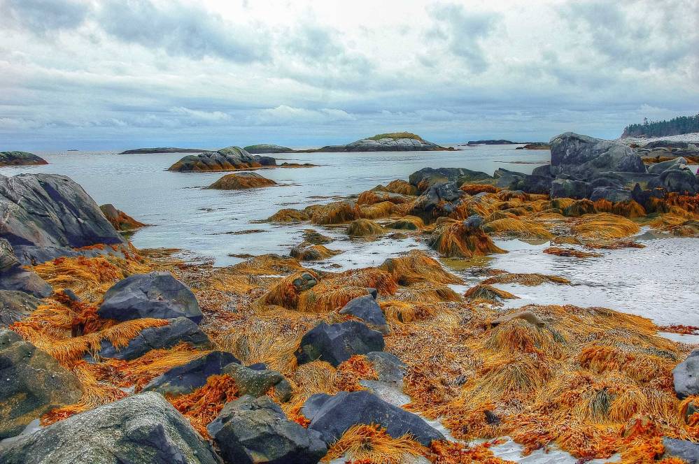 aNova-Scotia-2011083