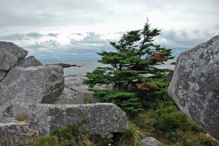 aw2Nova-Scotia-2011102