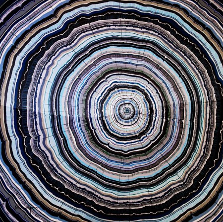 Vancouver's Winter (2015)